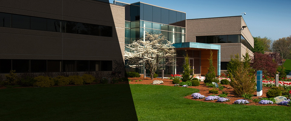 Calipatria Landscapers