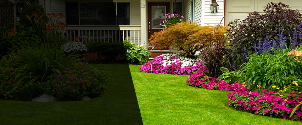 Calipatria Landscapers