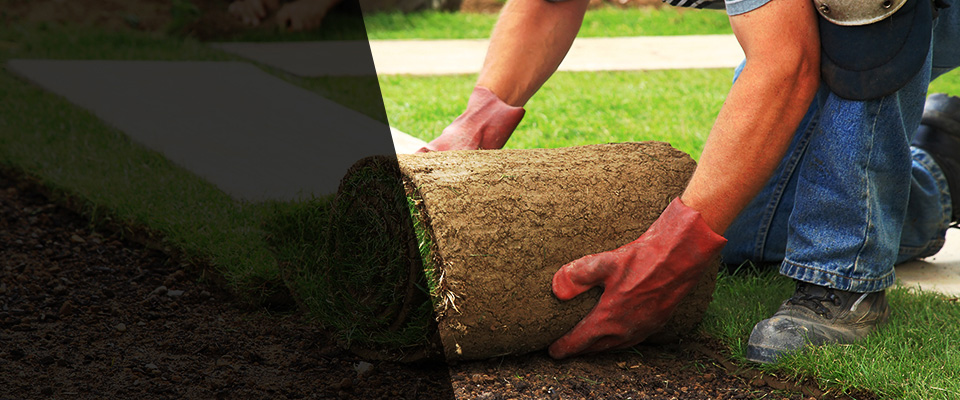 Calipatria Landscapers